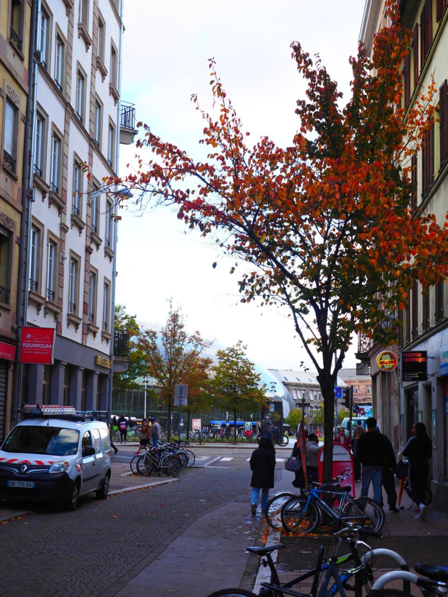 Stb2 Appartement Strasbourg